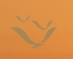 skybirdsvilla